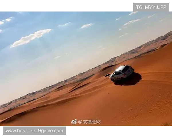 沙尘与泥泞中的王者争霸：WRC最艰难赛段全景剖析